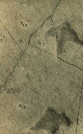Prints marked to identify position