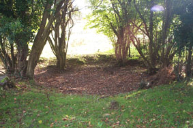 Possible location of shallow Roman workings, Langton Westwood