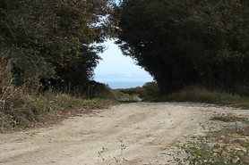 "View of the Isle of White from the quarry" - Click for a bigger picture!