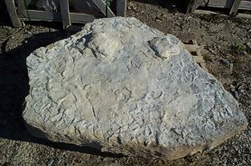 "Cast from Dinosaur Footprint" - Click for a bigger picture!