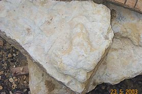 "Cast from Dinosaur Footprint" - Click for a bigger picture!