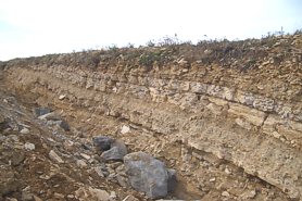 "The top of the quarry face, showing the overburden" - Click for a bigger picture!