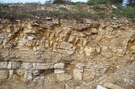 "The top of the quarry face" - Click for a bigger picture!