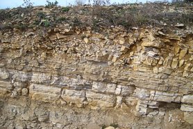 "The top of the quarry face, showing the overburden" - Click for a bigger picture!