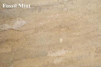 "Fossil Mint Sandstone - Click here for a larger pic"
