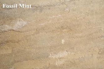 "Fossil Mint Sandstone - Click here for a larger pic"